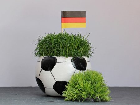 Análisis del partido Alemania – Dinamarca + tipo